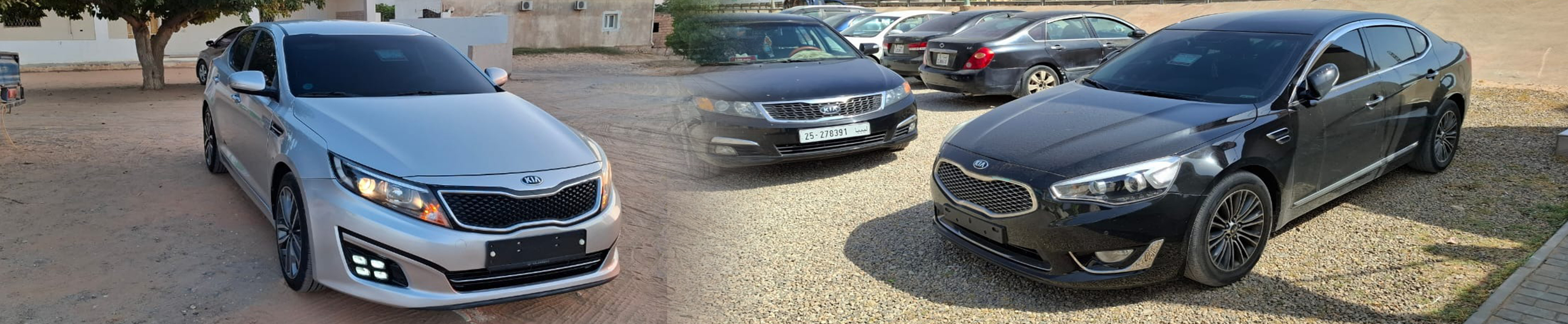 صورة الشركة